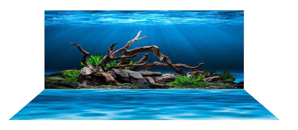 Tranh nền dán hồ cá 3D Aqua kích thước 120 x 60  Shopee Việt Nam