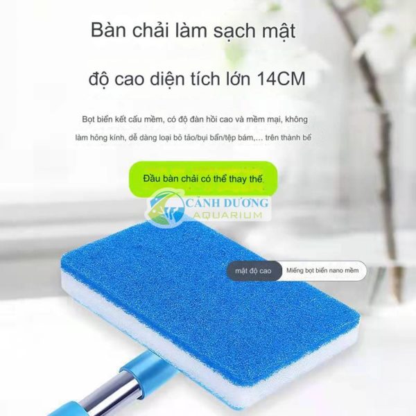 Chữ nhật