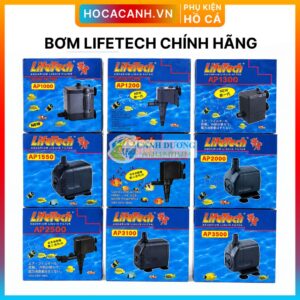 Máy bơm LifeTech AP 1000 - 1200 - 1300 - 1600 - 2000 - 2500 - 1550 - 3100 - 3500