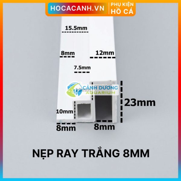Ray Trắng 8mm