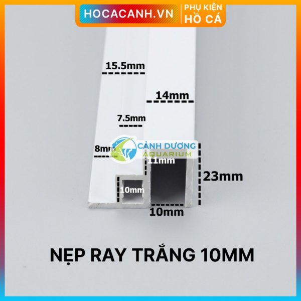 Ray Trắng 10mm