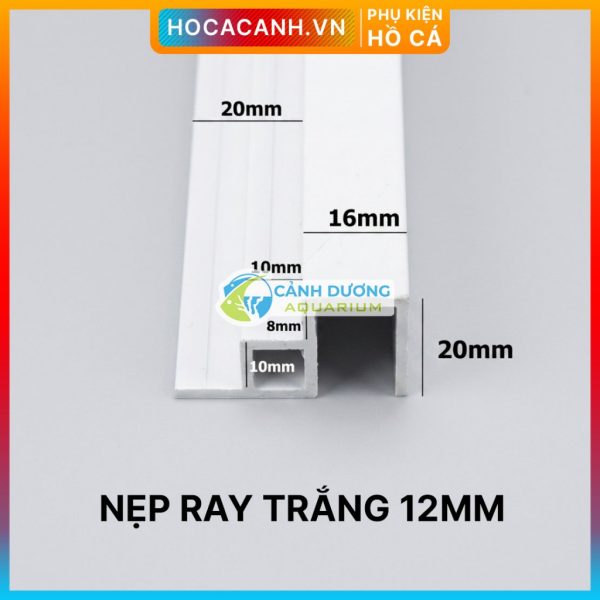 Ray Trắng 12mm