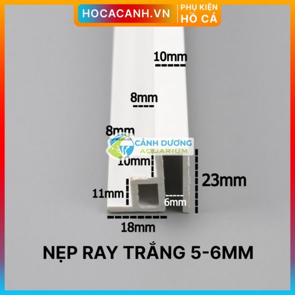 Ray Trắng 5mm